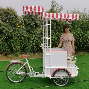Передвижной пищевой прицеп, Электрический велосипед для продажи, витрина для тортов с мороженым, Тележка для толкания мороженого, стенд для продажи с морозильной камерой 1